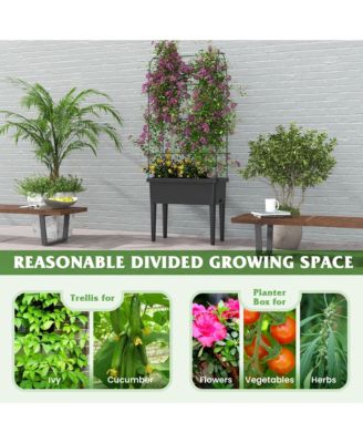 Raised Garden Bed w/ Trellis Water Level Observer Drainage Holes Climbing Net