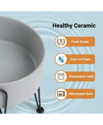 Elevated Dog Ceramic Bowl Set 2 Pack with Anti-slip Non-tip Metal Stand for Dogs Food Water Feeding
