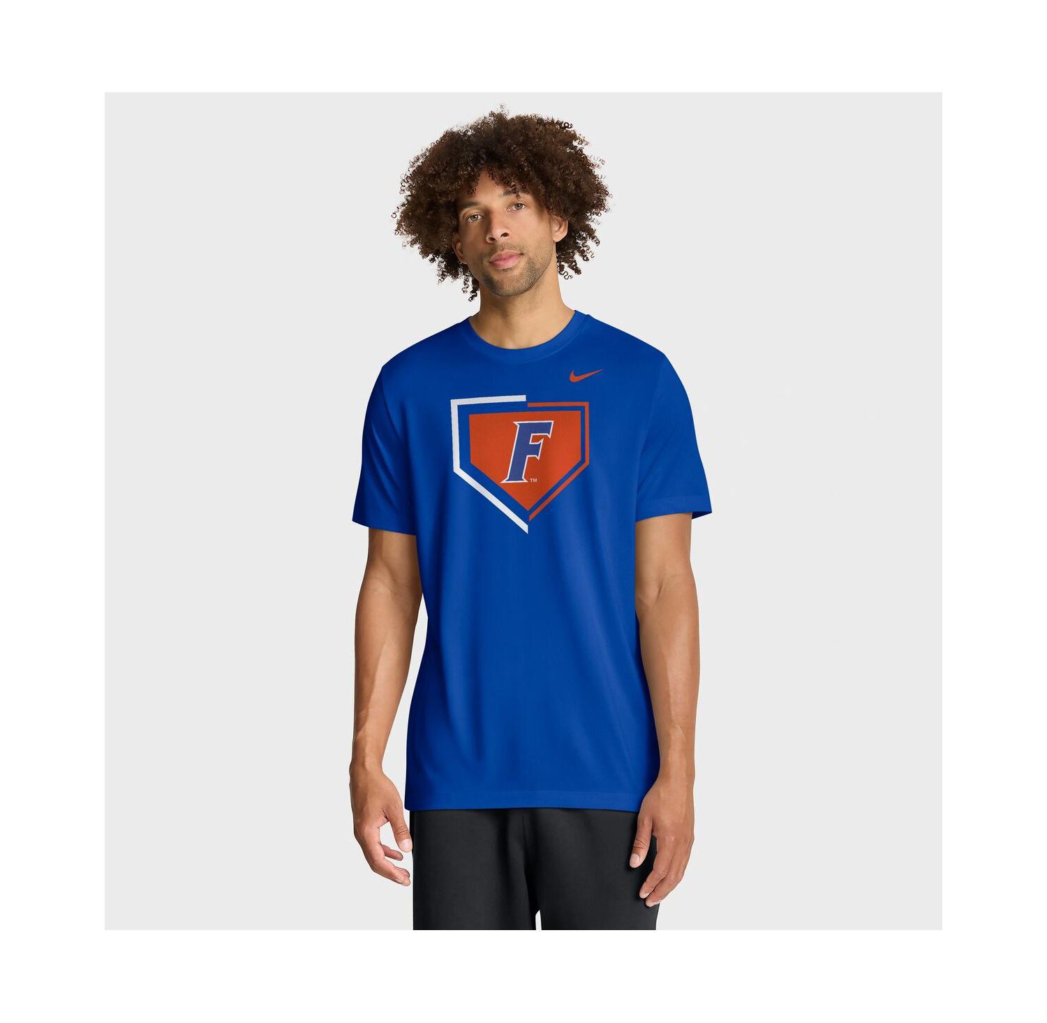 Men's Royal Florida Gators Primetime Baseball Icon Legend Dri-FIT T-Shirt