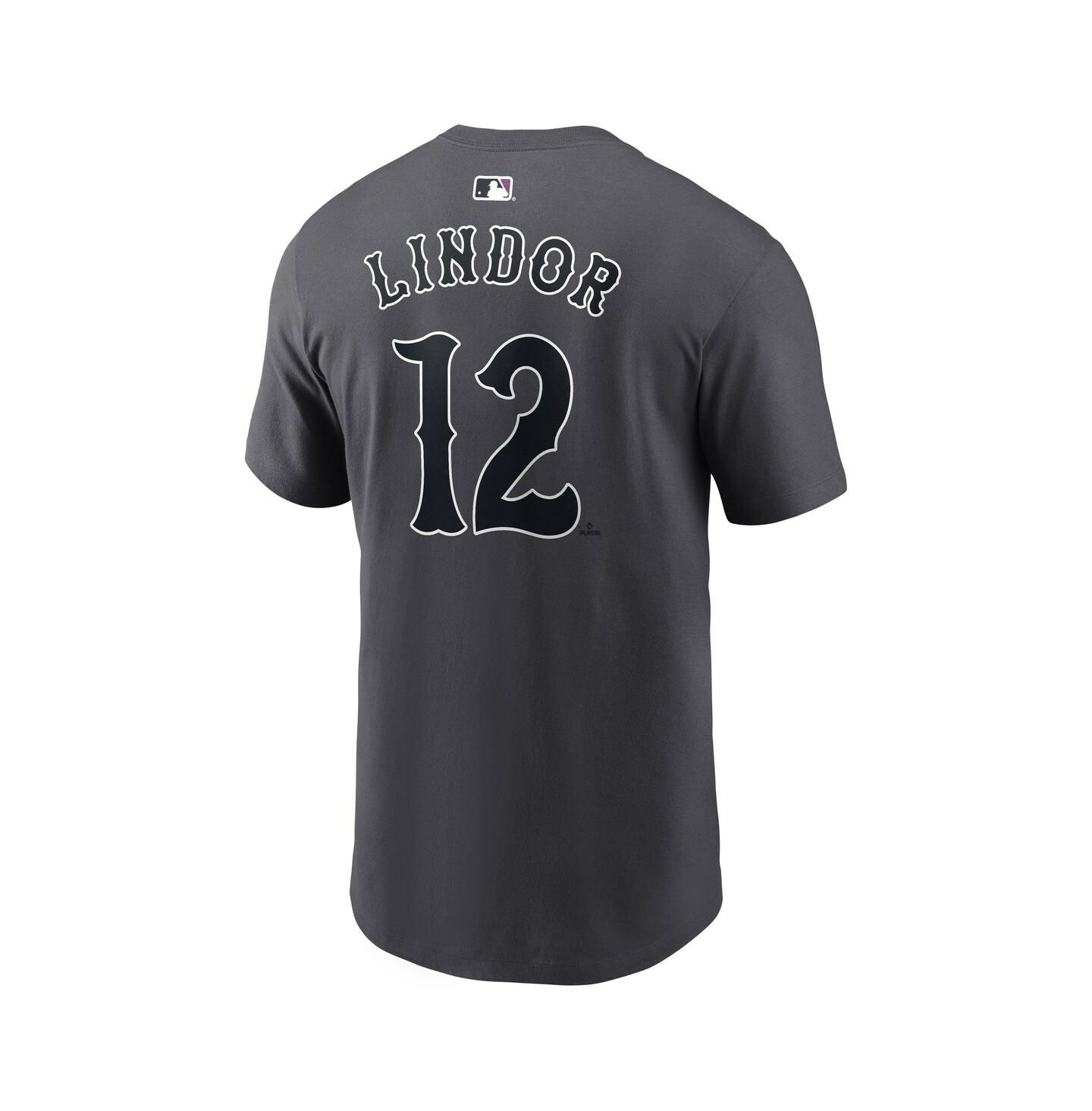 Мужская футболка Nike Francisco Lindor Anthracite New York Mets City Connect Name & Number — фото 2