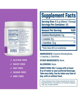 Creatine Monohydrate Powder with L-Leucine and L-Carnitine - Supports Muscle Health for Men and Women - 30 Servings