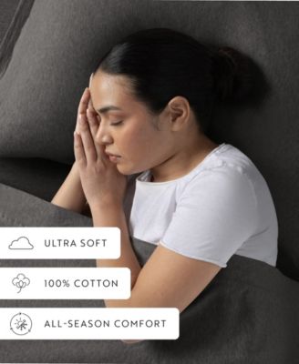 Jersey Cotton 4-P.c. Sheet Set, Queen