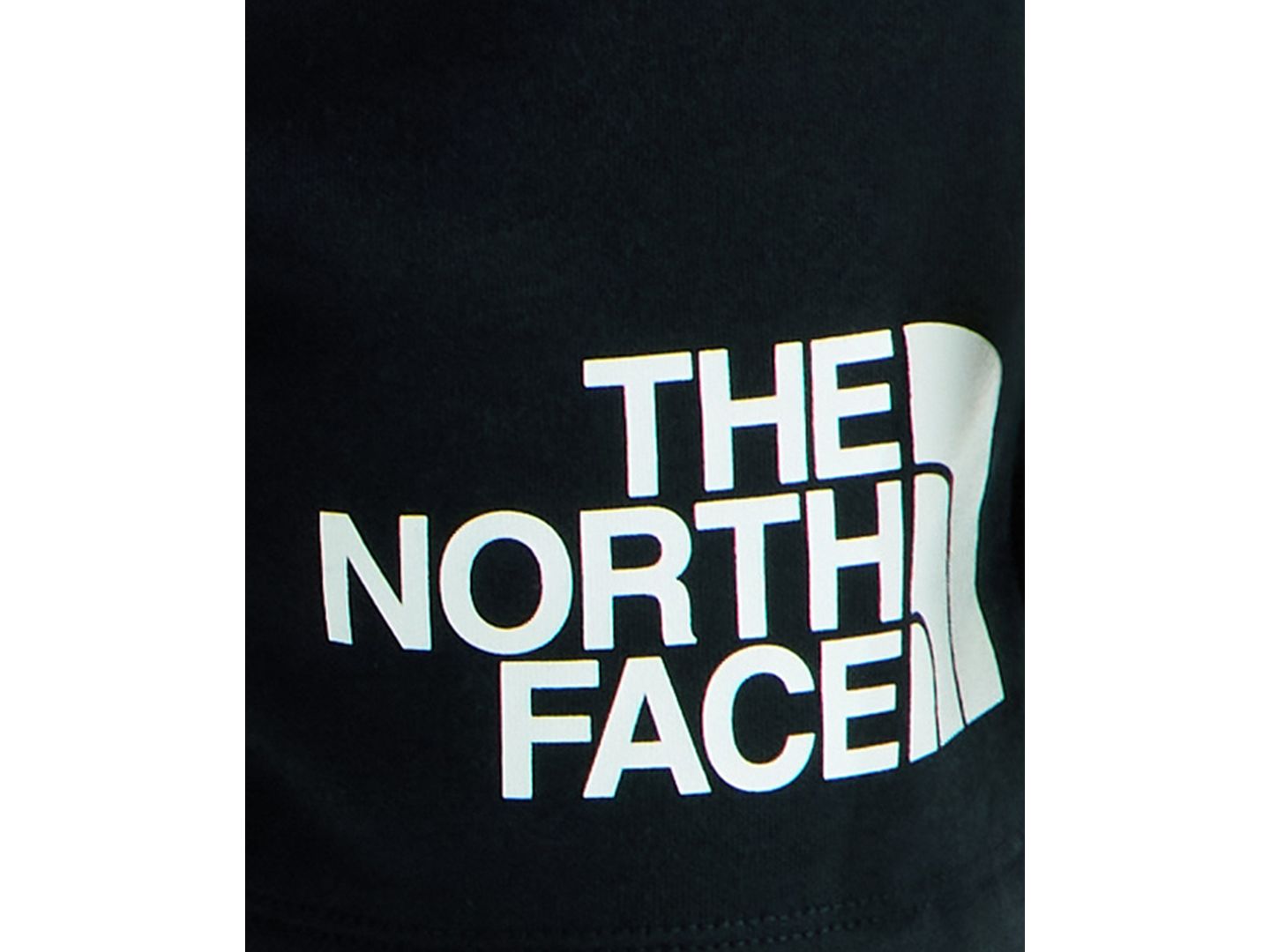 Детские шорты The North Face Evolution Half Dome, цвет: Чёрный — фото 3