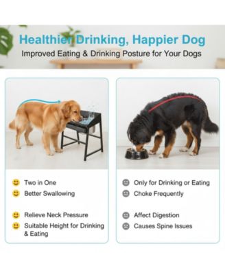 Spill Proof Tilted Elevated Dog Bowl Set Large Breed 15" Tall Stainless Steel Food Water Stand Indoor Outdoor Easy Clean