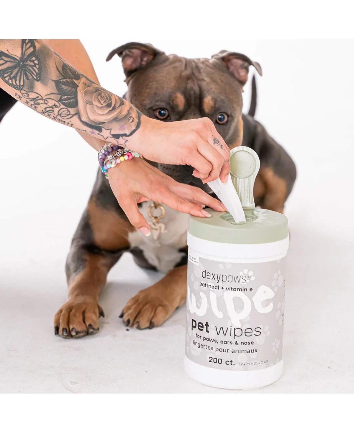Dexypaws Pet Wipes: Oatmeal & Vitamin E