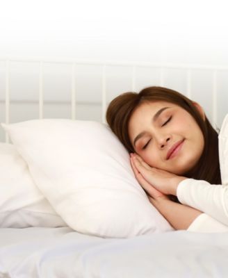 2-Pack Pillows, European