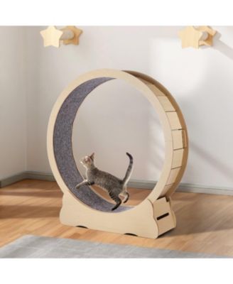 52" Wooden Cat Exercise Wheel with Detachable Carpet