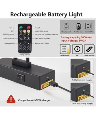 16in Rechargeable Battery Picture Light with Remote, Dimmable LED Art Wall Sconce