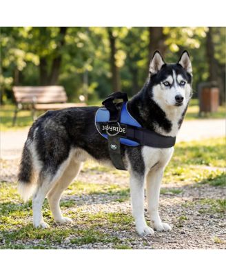 Side Ring No Pull Dog Harness - No Choke, Escape Proof, Reflective, 3 Leash Clips, Comfortable Pet Vest for Medium & Large Dogs