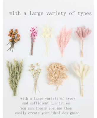 120 Pc. Dried Flower Stem Set