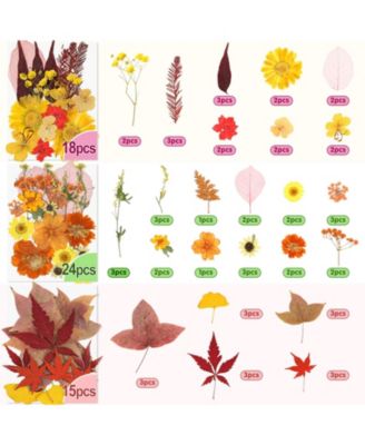 100+ Real Dried Pressed Flowers Leaves Florals Tweezer Candle Scrapbooking Thanksgiving Gift