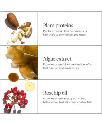 Don't Despair Repair Super Moisture Shampoo, 16 oz.