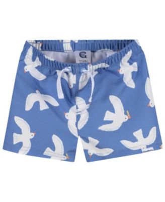 Toddler Boys 2-Piece Rashguard and Trunks Set