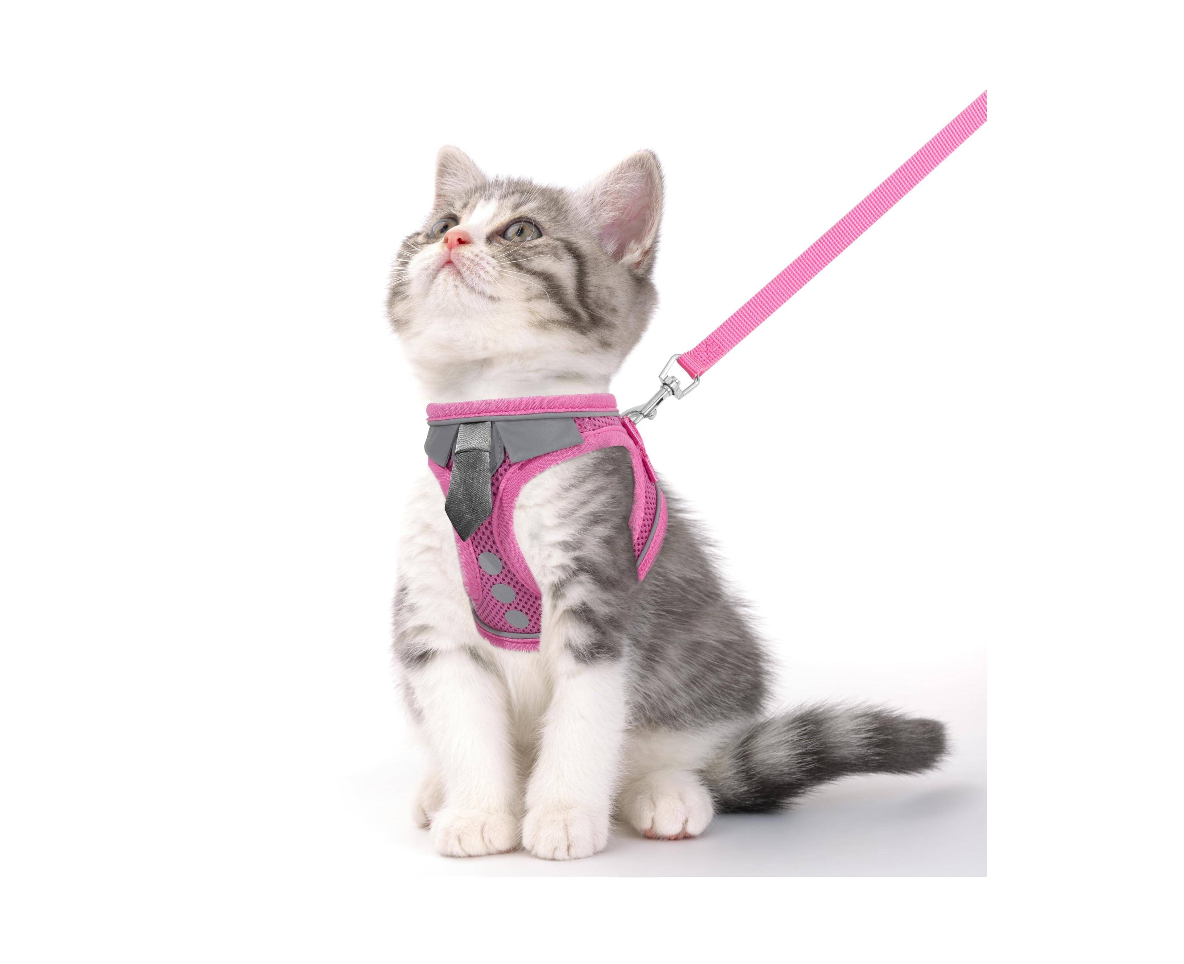 Aronkl Escape Proof Cat Harness Leash Set Soft Adjustable Breathable Mesh Reflective Strips for Kitten Puppy Bunny