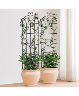 Metal Garden Trellis for Climbing Plants, 71 x 20 in 2-Pack Rustproof Powder-Coated Plant Support
