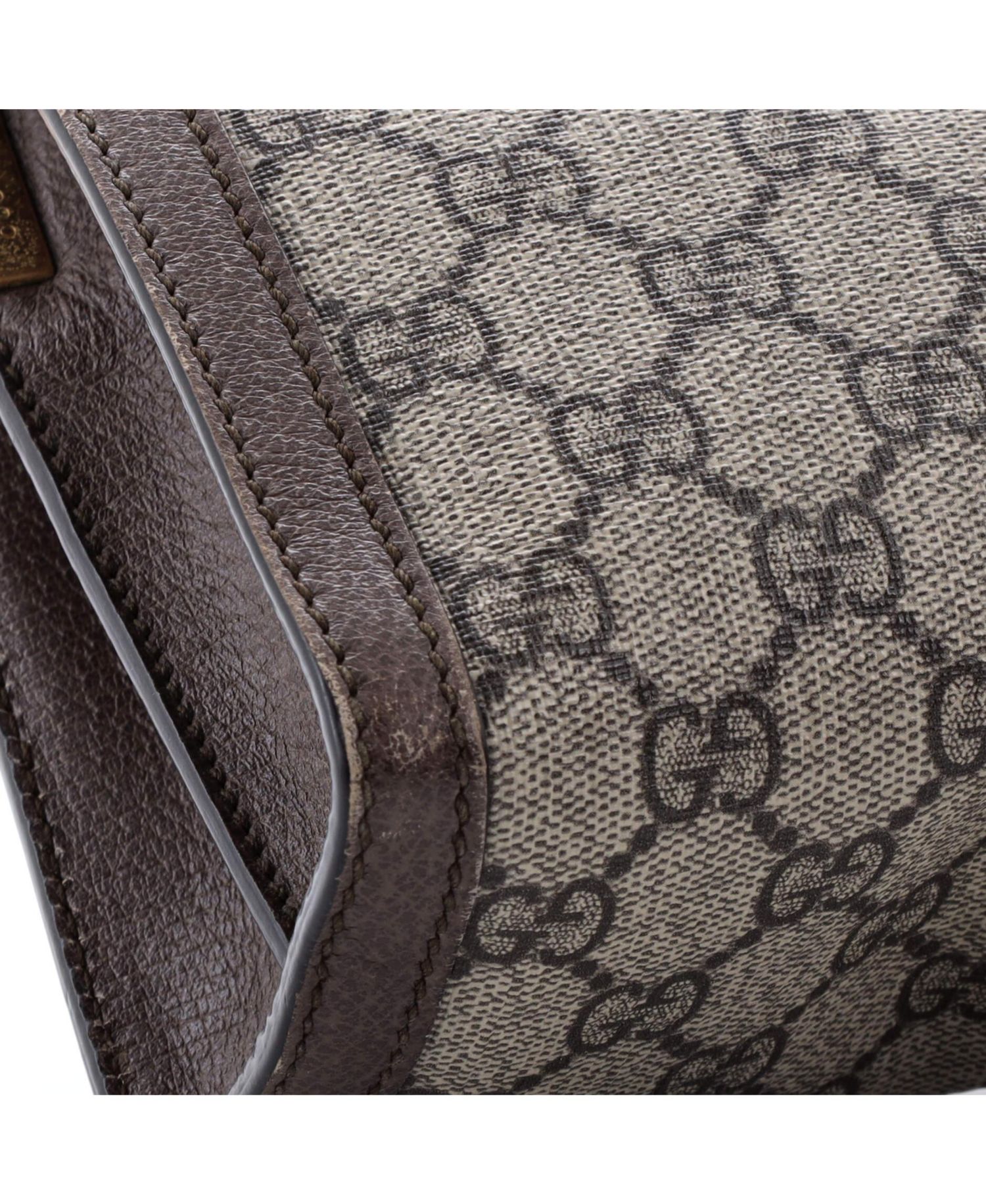 Small Ophidia Chain Shoulder Bag GG Coated Canvas