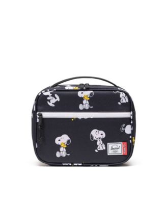 Pop Quiz 7.9" Lunch Box