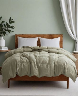 300 Thread Count Cotton All-Season Goose Feather Comforter, Full/Queen