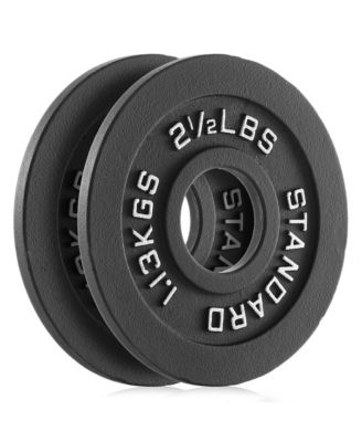 Set of 2 Standard Cast Iron Olympic 2-inch Weight Plates (2.5 LB each)