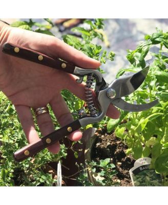 Thai Kitchen and Garden Shears