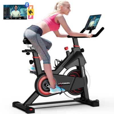Adjustable Magnetic Exercise Bike for Home, 380 lbs Capacity with App