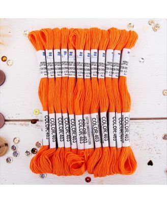 12 Skeins Egyptian Cotton Embroidery Floss for Crafts