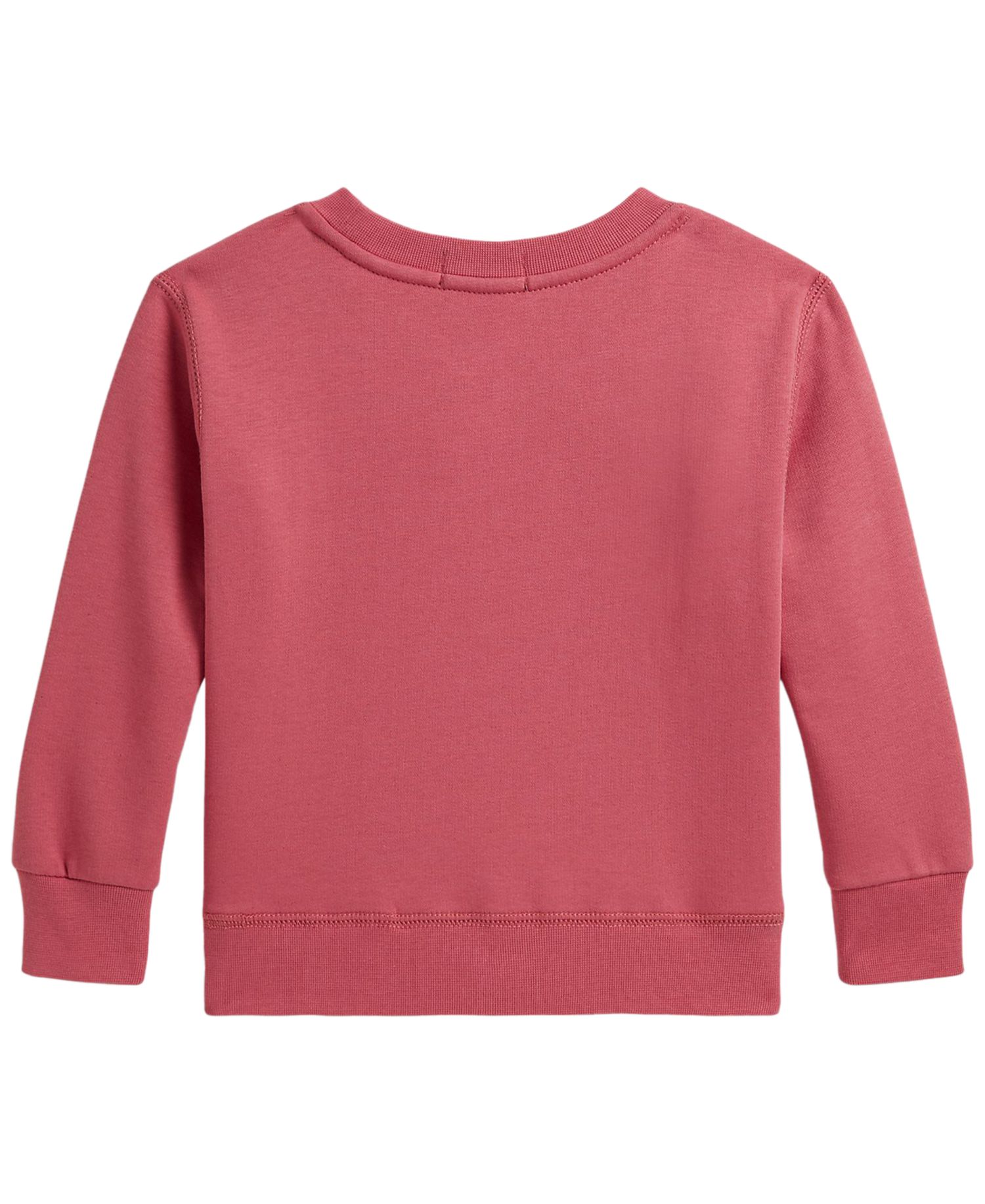 Boys' 2-7 Polo Bear Long-Sleeve Sweatshirt