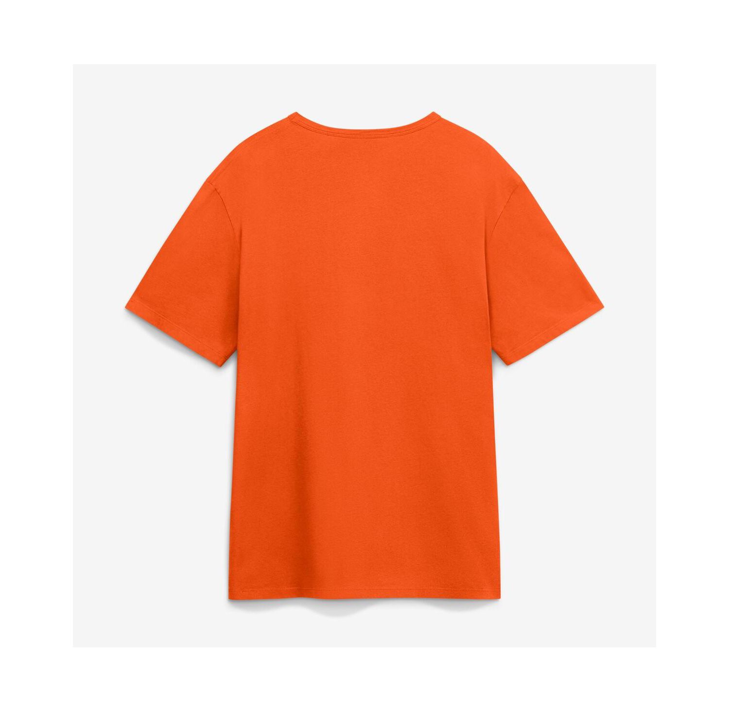Men's Orange Detroit Tigers Alternate Logo Legacy T-Shirt