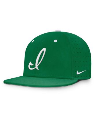 Men's Green Iowa Hawkeyes Dugout True Dri-FIT Fitted Hat
