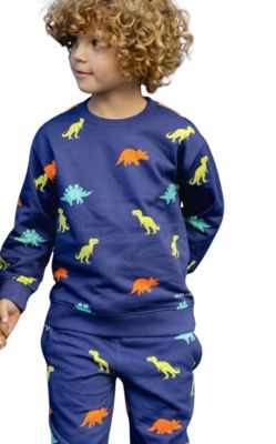 Boys Dinosaur Cotton Crew Neck Sweatshirt