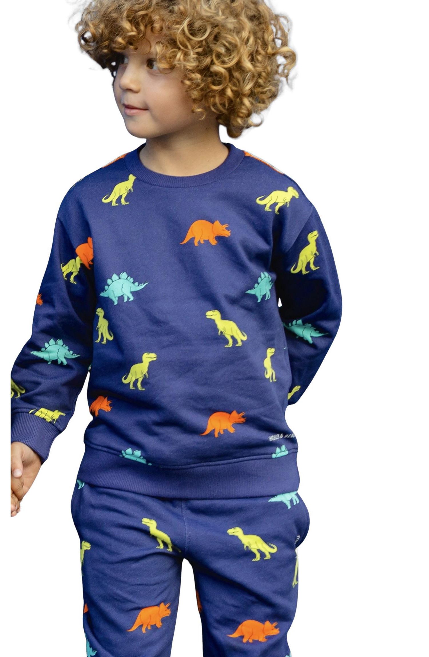 Little Boys Dinosaur Cotton Crew Neck Sweatshirt