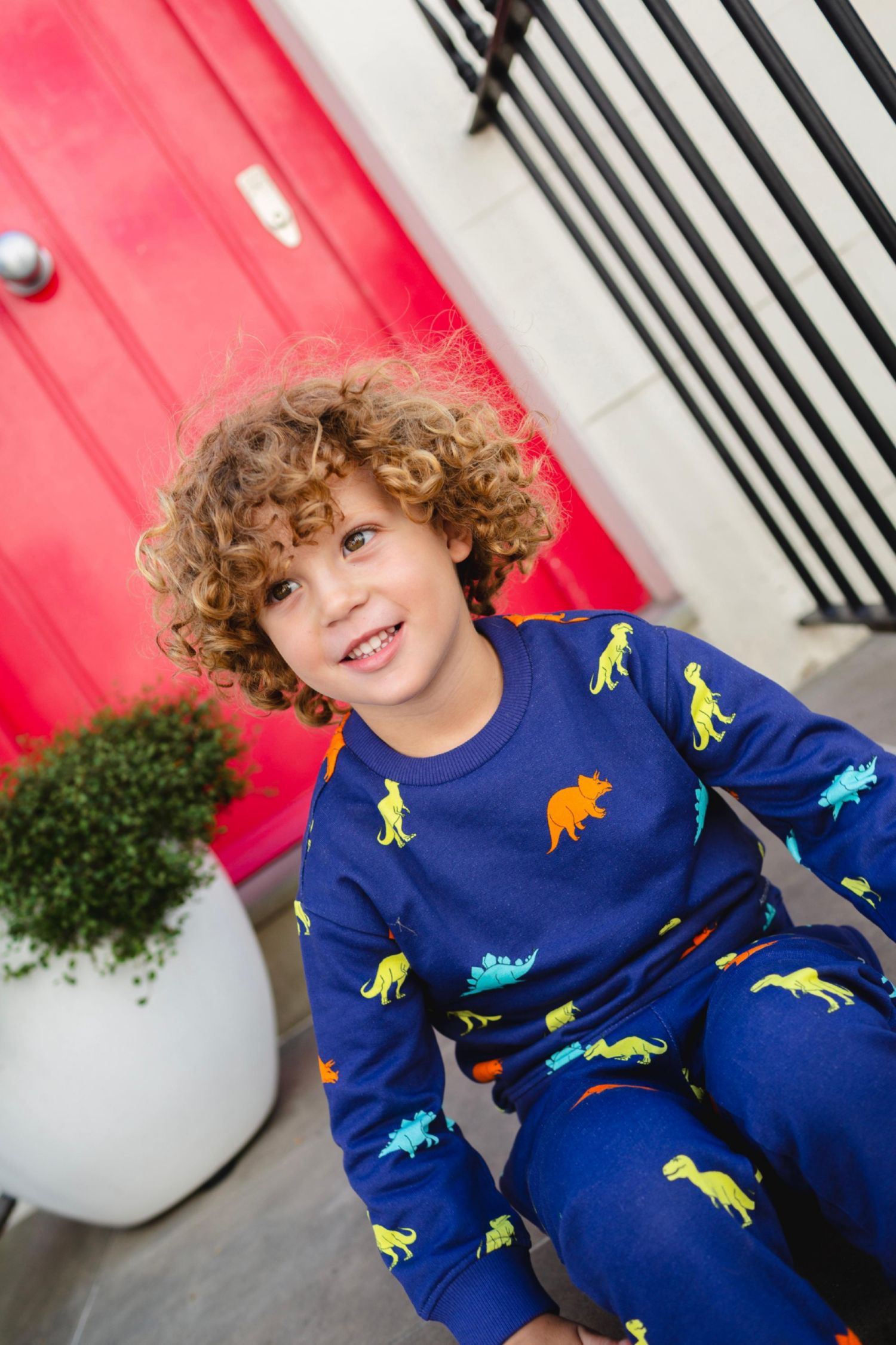 Little Boys Dinosaur Cotton Crew Neck Sweatshirt