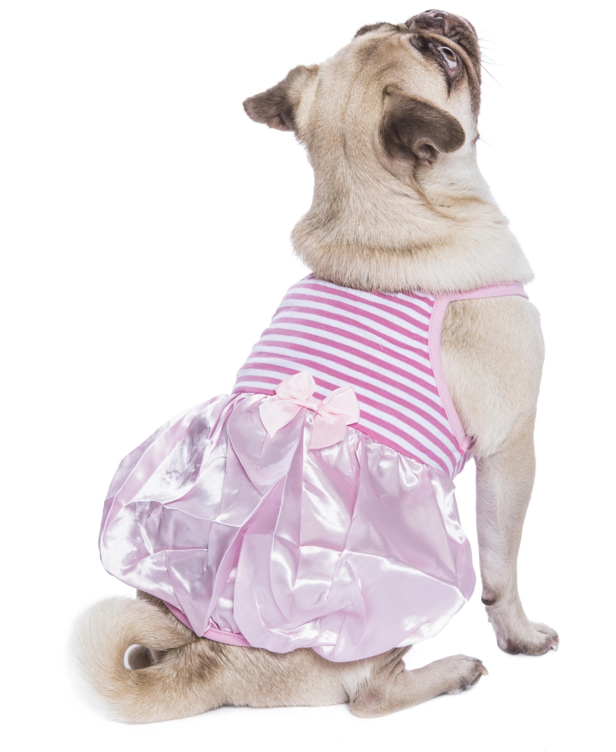 Parisian Pet Satin Dress
