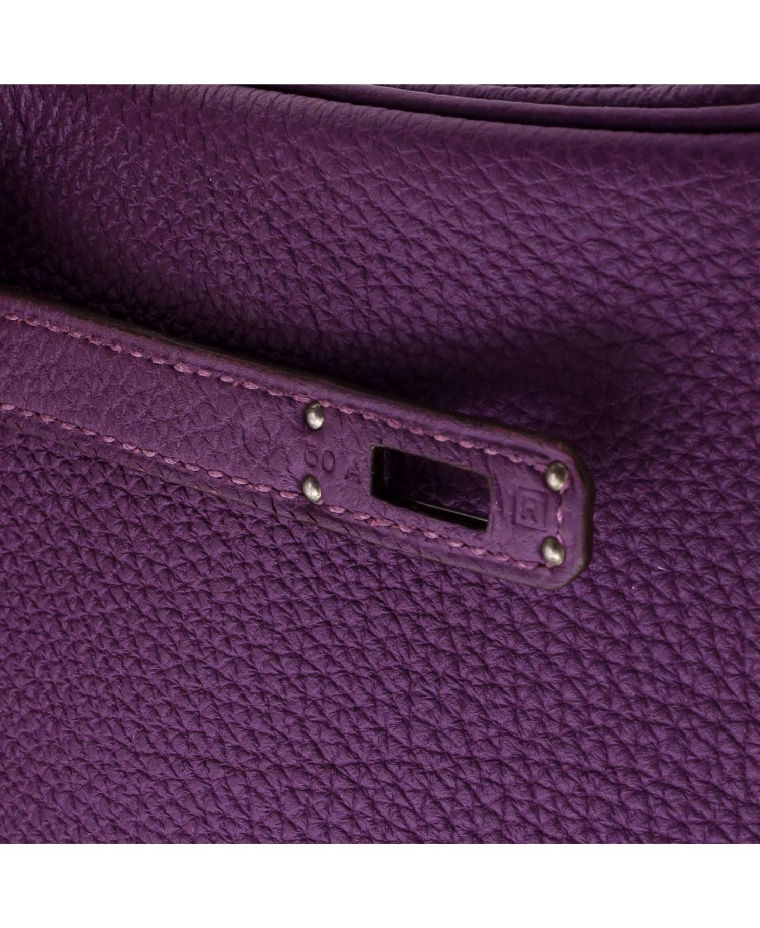 Birkin 25 Handbag Purple Togo with Palladium Hardware