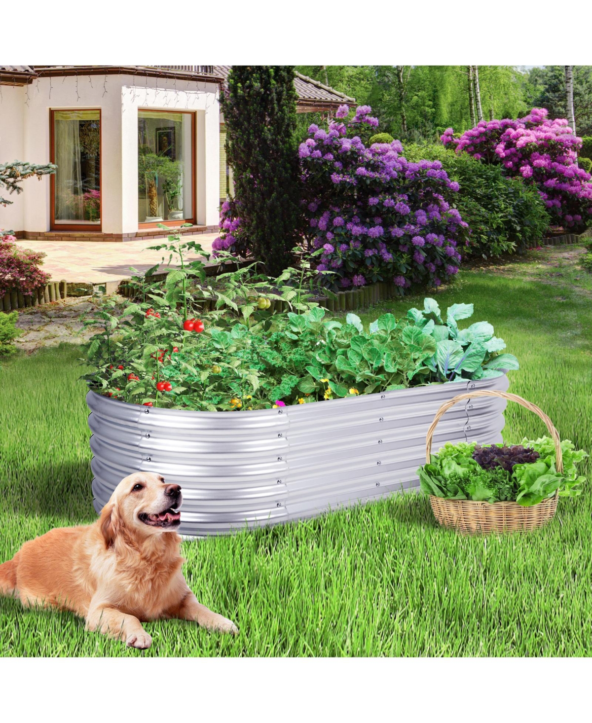 Aoodor Galvanized Raised Garden Bed Kit, Oval Planter Box for Vegetables, Flowers, and Herbs