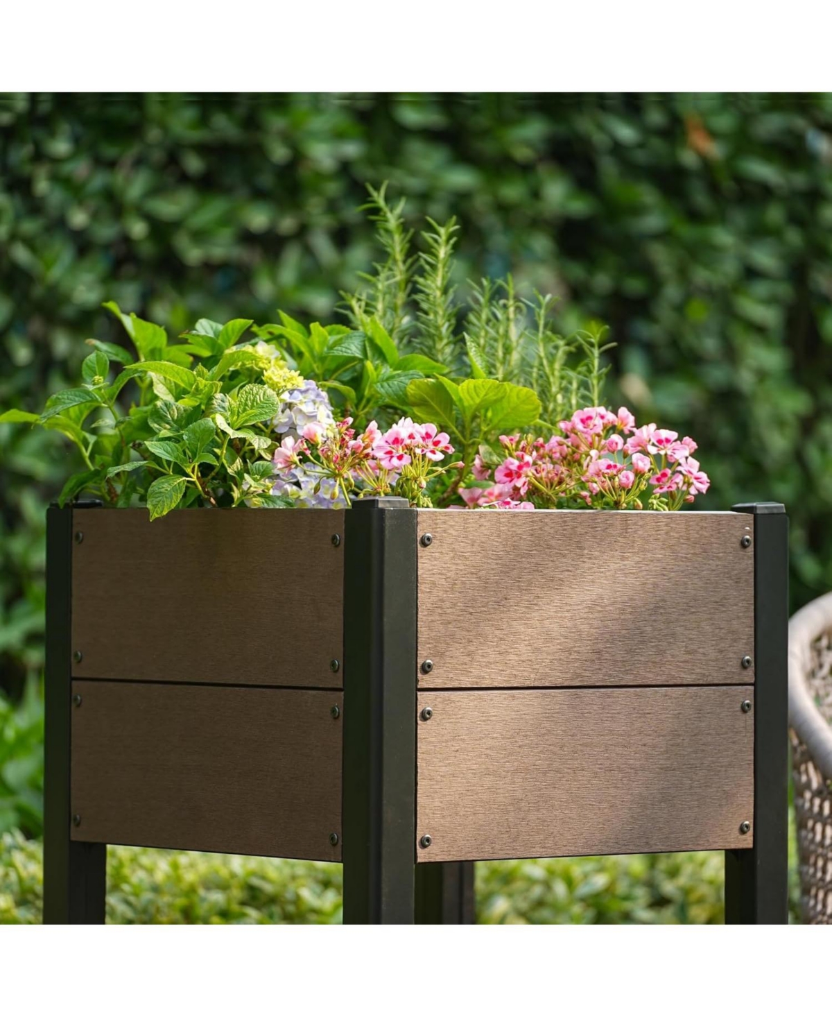 Xo 19" x 33" Hdpe Raised Garden Bed with Legs and Shelf, All-Weather Elevated Planter for Herbs, Vegetables, Patio and Balcony
