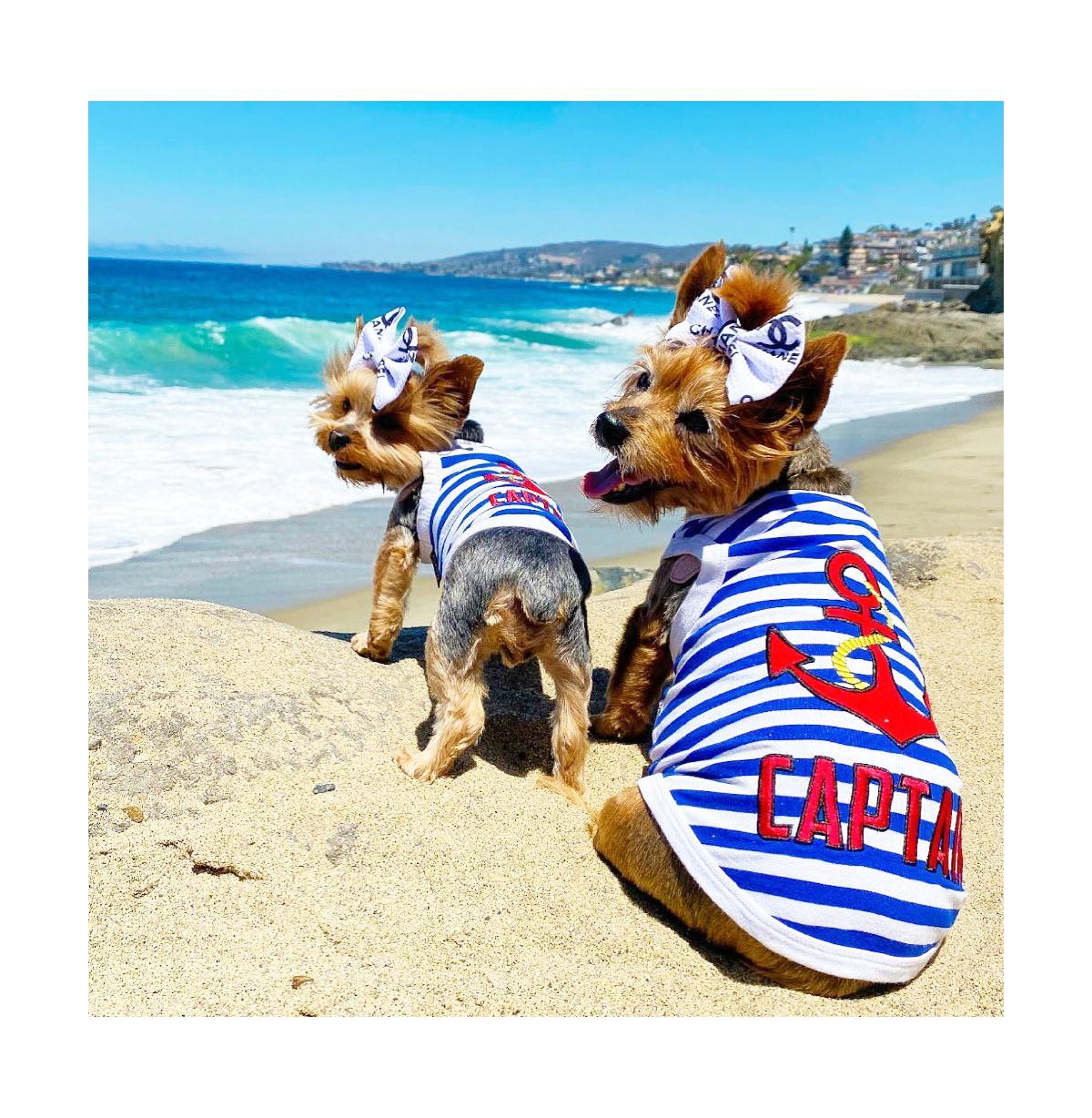 Parisian Pet Captain Dog Clothing