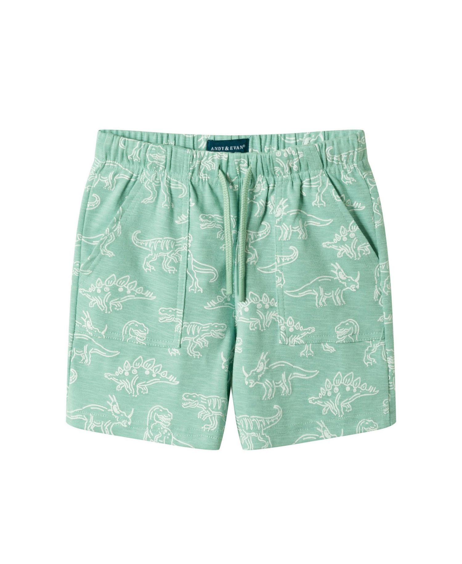 Andy and Evan Little Boys Graphic Print Henley Set