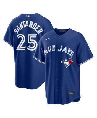 Men's Anthony Santander Royal Toronto Blue Jays Alternate Replica Jersey
