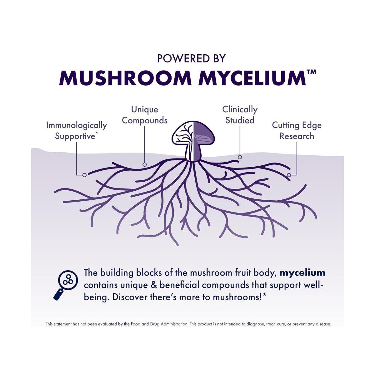 Host Defense Mushrooms Lion's Mane - Brain Health Support Supplement