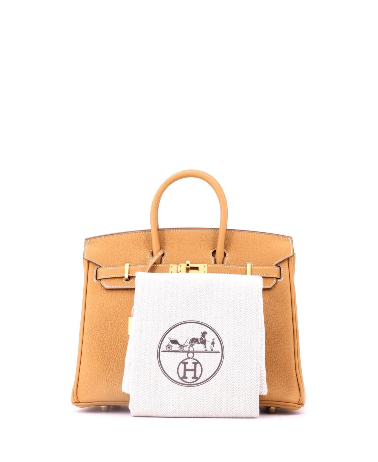 Birkin 25 Handbag Brown Togo with Gold Hardware