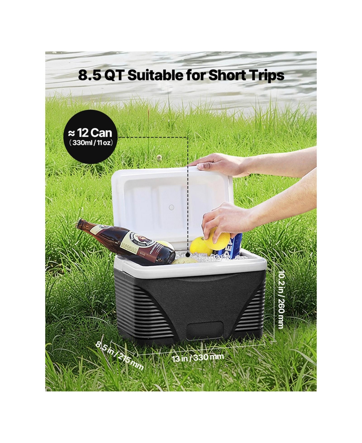 Cozito Portable Cooler, 8.5 qt Hard Cooler with Handles and Pe Pp Insulated Body