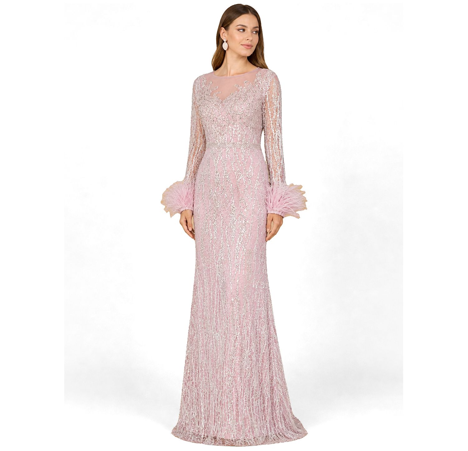 Women's Long Sleeve Sheath Gown with Feathers
