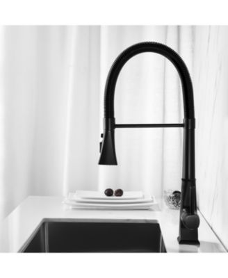 Kitchen Faucet with Pull Down Sprayer