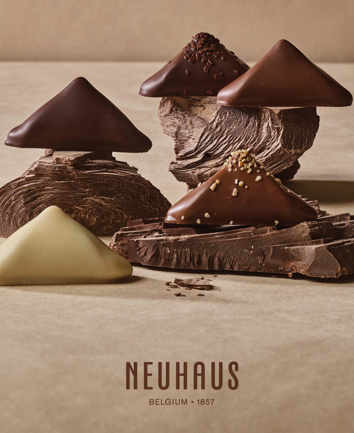 Neuhaus Father's Day Assorted Chocolates, 17-Piece