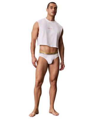 Men's Pride Cotton Classics Hip Brief, 1-Pack
