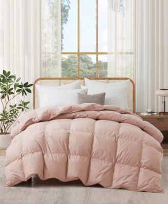 300 Thread Count Cotton All-Season Goose Feather Comforter, Twin