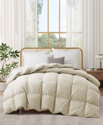 300 Thread Count Cotton All-Season Goose Feather Comforter, California King