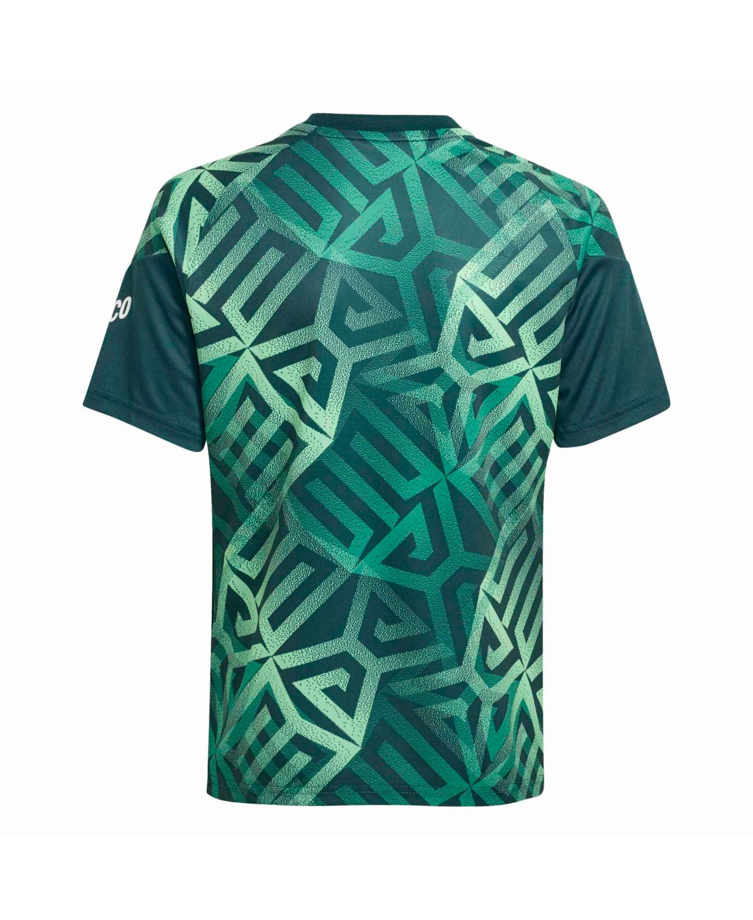 Big Boys and Girls Green Mexico National Team 2026 Pre-MatchJersey