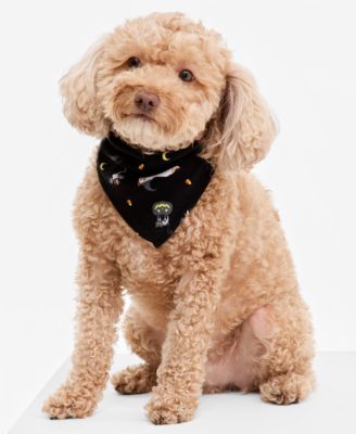 Pet Halloween Party Bandana
